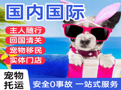 大同云冈空运代理国际宠物托运 【国